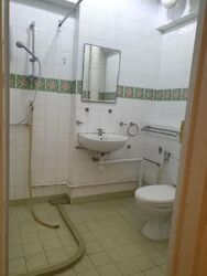 Blk 510 Elias Parks Estate (Pasir Ris), HDB Executive #609491561